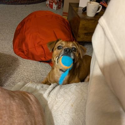 Kale1126862's profile picture. 