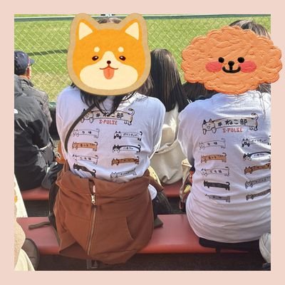 kiki20241103's profile picture. spulse 4 ・ 33・ 41・19・38 🫶
サッカー無関心な夫氏とジャックラッセルテリア2匹と暮らしてます。ゴール裏2階のすみっこによくいます。
エスパルスと、桃とハイボール、くるりが好きです。ゴリゴリのいぬ部ですが、エスパルスねこ部に仮入部しました🐱
 #エスパルスいぬ部