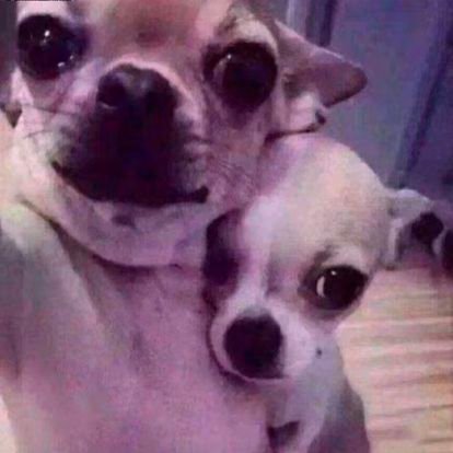 young_liborui's profile picture. 