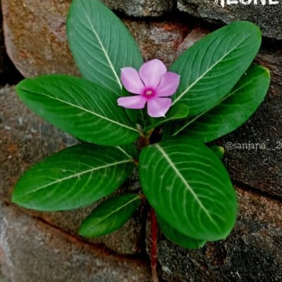 Tinytinykhwab's profile picture. Smile. Sparkle. Shine.
Lawyer🎓.