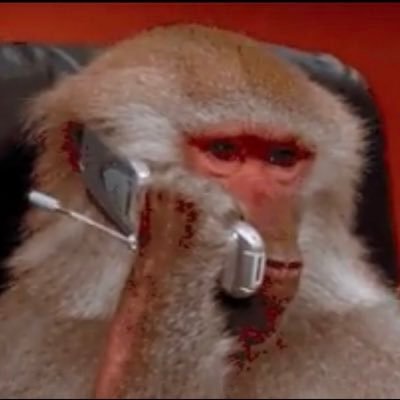 KudlacikMa15450's profile picture. 