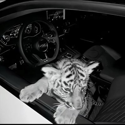 picofnx's profile picture. 16 🇮🇹 @VoidEsports2x | dm ? for biz