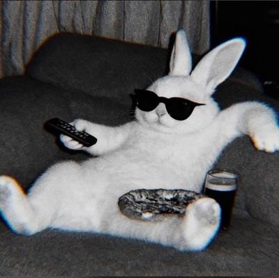 Jaayee77's profile picture. 我是一个值得信赖的 kyc 卖家，我将以优惠的价格帮助您 kyc 账户：Okx、Kucoin、Bingx、Bybit、Sandbox、Etsy、Alipay、Ebay、Payoneer、Astropay、Bet365、Nicehash、Flipster、Xm 等。我们的业务覆盖所有国家，包括西班牙、亚美尼亚、英国、泰国