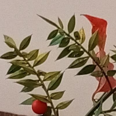 Lillparr5's profile picture. 🐚photograph🌿haphazard🪽Yeryüzünde yapacakların olduğu müddetçe yaşarsın.Sandor Marai