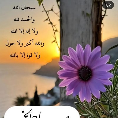 MUHAMMADHA19002's profile picture. 