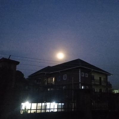 ButchHandyman's profile picture. Jacques of all trades, master of most. The muchiest. Line dancing with the devil. SW.  Forever beating the odds.