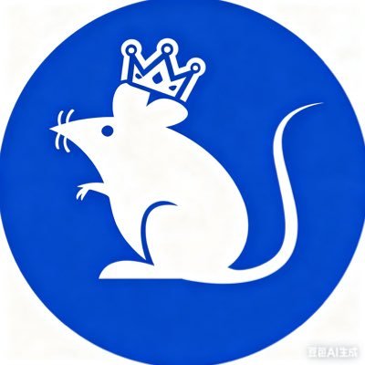 RatKing_BNB's profile picture. $Ratking ca: 0xc3cd6531634d6d0cce95b0422b9f8d8b0aa94444 TG: https://t.co/1bW7ErxiIK