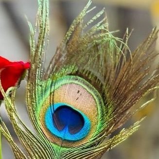 mera_mann_'s profile picture. #मेरा_मन_