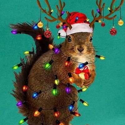 ronniesquirrel's profile picture. I'm a mess- thankful for God's sweet grace. #forgiven
#GreatLakesSquirrel #sandbetweenmytoes #MIhappyplace  #sunsetismyfavoritecolor #Pandathebunny