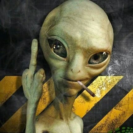 monikayaneloh's profile picture. 