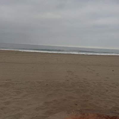 username1164443's profile picture. 20 yrs old| open to all dms| love older women🫦wlw, masc open to all. burner account