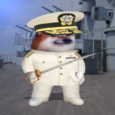 amiralmorgan's profile picture. Rebel / Democrat / #BlueTeam / #WeAreNAFO 
#ExpansionIsNonNegotiable / "Terror becomes total when it becomes independent of all opposition." Hannah Arendt