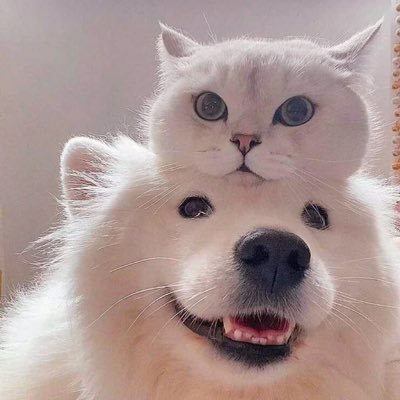 meeyok94's profile picture. #หมี่หยกแจกอีกแล้ว #หมี่หยกส่งแล้วค่า