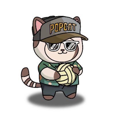 Popperverse's profile picture. Welcome to Popperverse!
Discover the cutest Pop Cat plushies on Solana