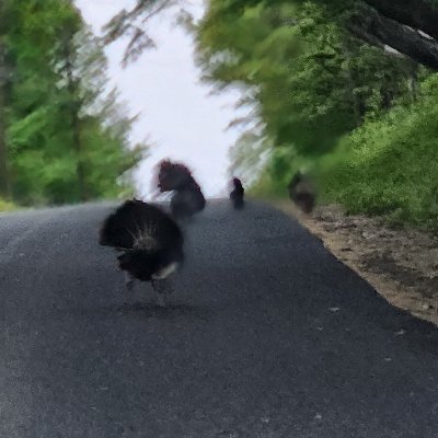 TheGoblin52's profile picture. 