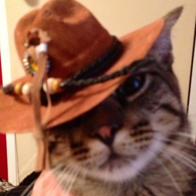 sjisoulzzz's profile picture. heyo #studytwt ∘₊✧🪷🪞🧃