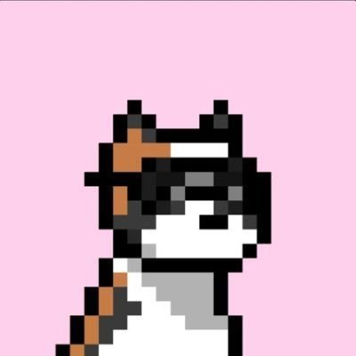 Samalitoo's profile picture. Magister Viae ad Internam Inquietudinem