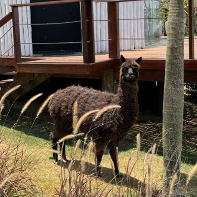 Smi_les__'s profile picture. 💎