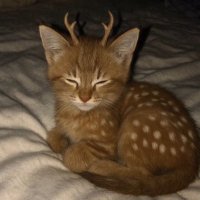 Z 🩷 (@userin03021) 's Twitter Profile