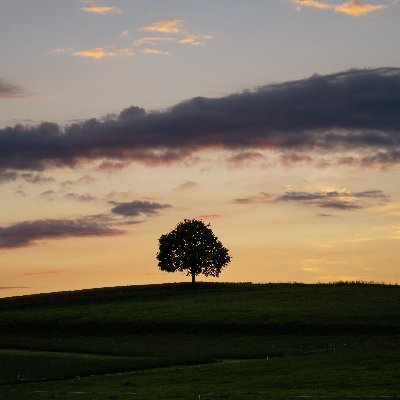 my_purethoughts's profile picture. 