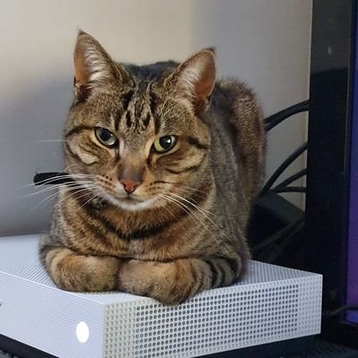 DammoP21's profile picture. Her ^ name is Nala. Late 30s. Retired. Gamer. Former military. 🇦🇺 Reading and writing 📖 📕. Sifi and fantasy mostly. I'm open, honest, and very, very direct.