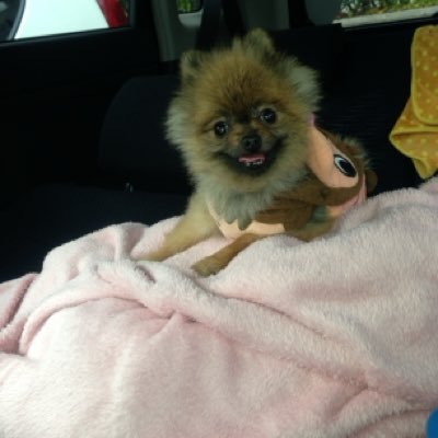 hP8Wxd2upeTFRke's profile picture. 