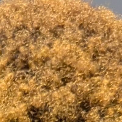 idayatjinadu_'s profile picture. PhDoing | Feminist | Writer | Astronomical