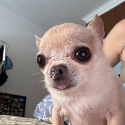 k__a_ng_'s profile picture. 