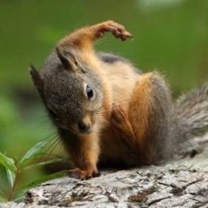 JJanguhh's profile picture. 변우석만 좋아함 
혼자 떠들게 냅두쇼