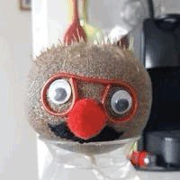 Stephen62718694's profile picture. jumps racing 🏇 pulsechain 📈