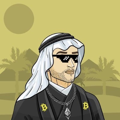 HashSultaan's profile picture. 2011 miner  | BTC or nothing | Your altcoins are my exit liquidity