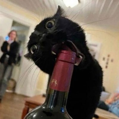 kervich's profile picture. If there were two of you, which one would win?