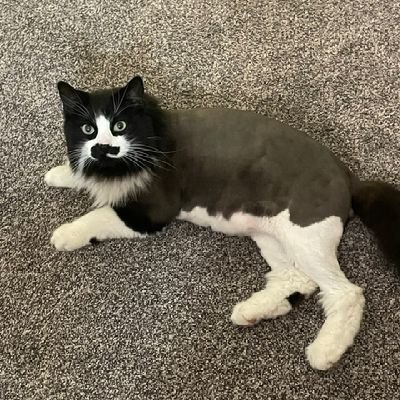 dapsonwayne's profile picture. 