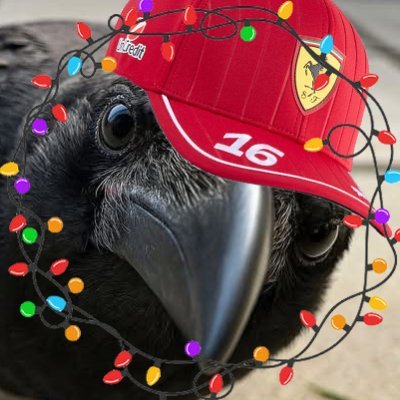 rindotio's profile picture. I LOVE MY TEAMMMMM!!!!! | @rindotnet alt