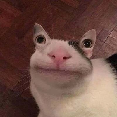 fried_soboru's profile picture. 계정정지 4번째