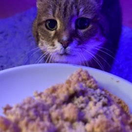 der_bummie's profile picture. Into Urban Exploration and videogames.

Sometimes der_bummie, cause Bummie is already taken.