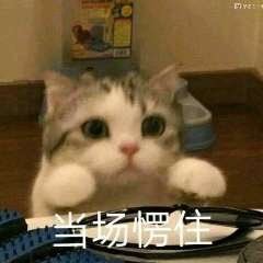 8866446946d's profile picture. 