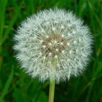 Adi_insights's profile picture. 