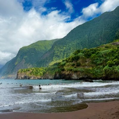 aureamr9's profile picture. 