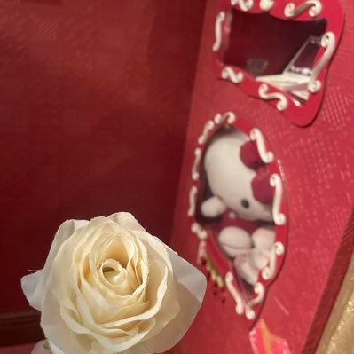 kokococo_st's profile picture. 勉強垢 移行