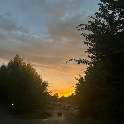 AmarinsL's profile picture. 