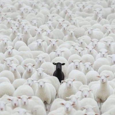 BarrowKajaly's profile picture. 