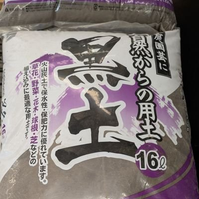 next_stage_2023's profile picture. 