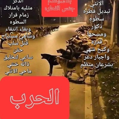 kamalgado903803's profile picture. جفت صحفي وبلغت حلقومي وتعب الطريق ما تعبت انااناديكي لاعاده تدويرك لملكوتي واثق يقيني خطي لبيتي حرب سلام لو اسلم كون ظاهربباطن مكر خبث لن يكونا الاما شوطئ ثباتي