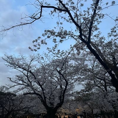 bZ8xYSmhJj56019's profile picture. 