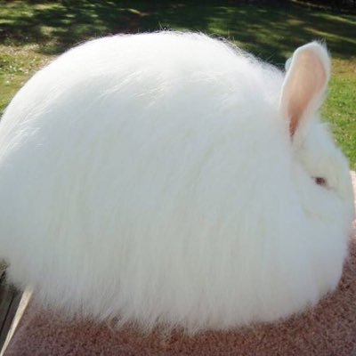 qooseul's profile picture. 