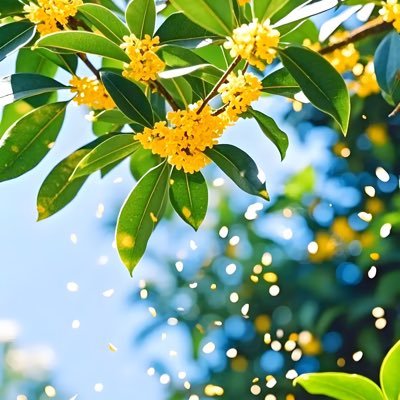 Ox8c8's profile picture. 缥缈虚无