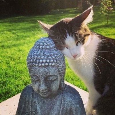 torpinina's profile picture. College, 19, They/Them online but male irl.  I love spirituality, tarot, Kabbalah, philosophy, and astrology! would love to make friends and transform.