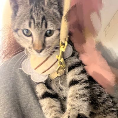 fiona088899's profile picture. 我们只要一直活就会有好事发生