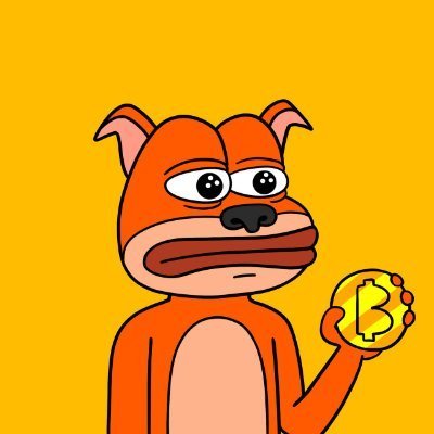 thecroxcoini's profile picture. Welcome to $CROX. Bitcoin's OG mascot found a new home on Solana 🧡
$CROX holders receive monthly $BTC airdrops. We are the rally to new all-time highs.